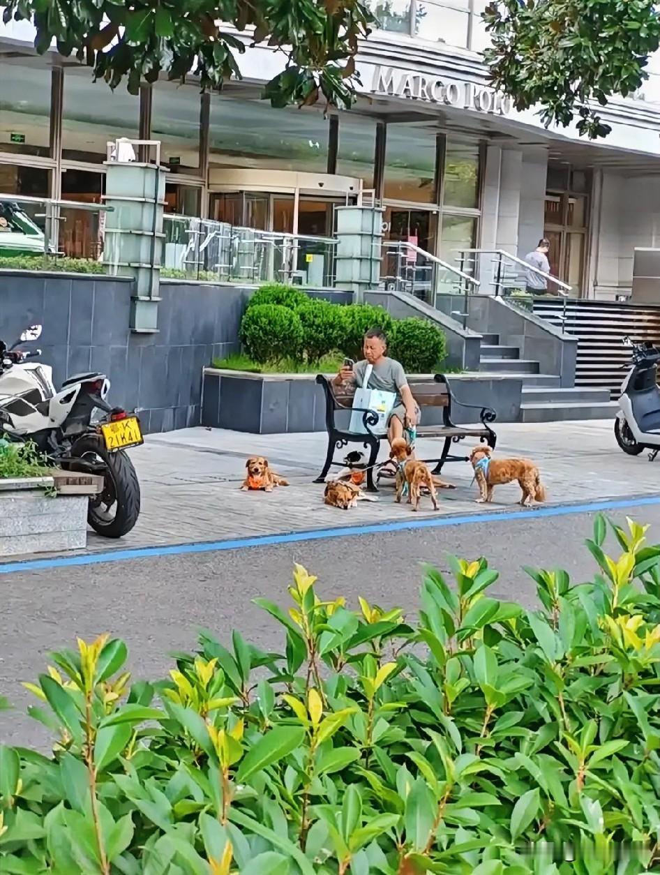 在上海街头，沈巍曾是那道独特风景。为什么那么多上海本地人打心眼里推崇他、热爱他？