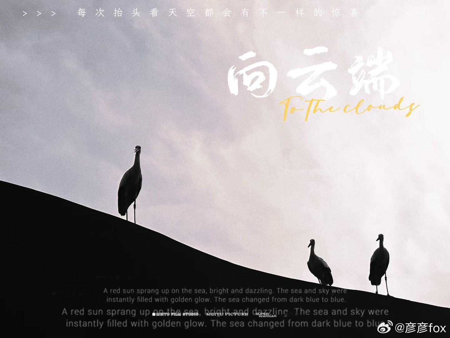 一场久违的飞鸟之约。当飞鸟低空掠过的瞬间 扑面而来的压迫感和治愈感直接拉满 生命