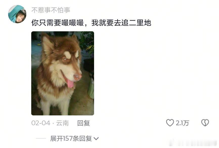 只有狗是我的生活笑料撞满怀我的幽默灵感片场