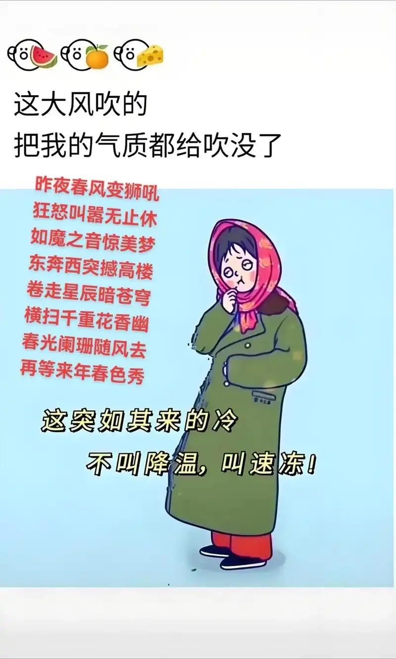 东北人在南方崩溃：穿3条加绒裤，却冻得想逃回家！

“东北零下30℃我能啃着冰棍