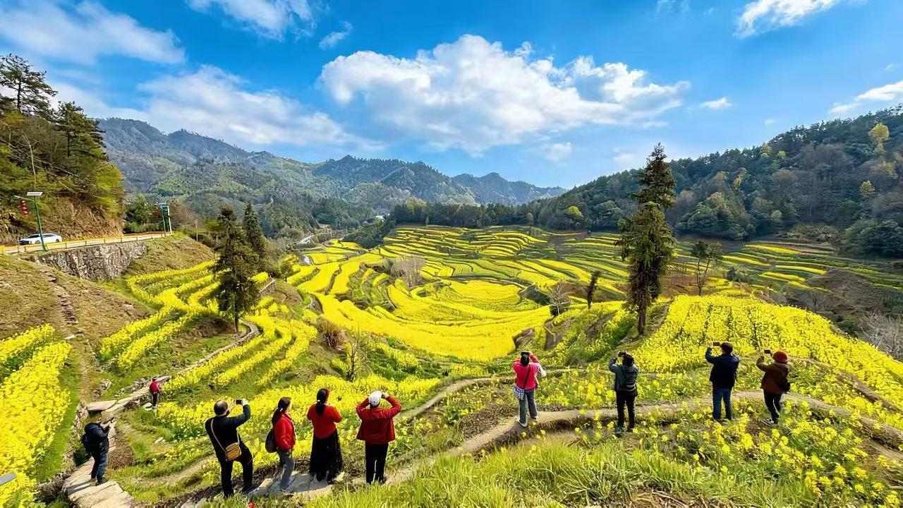 去不一样的地方，看不一样的风景[庆祝][庆祝][庆祝]

三月限定油菜花花海~?
