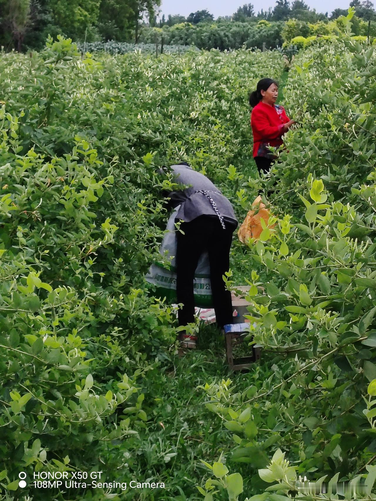 你如果掏实体店的价格在拼多多上的旗舰店上买，质量肯定好过实体店！