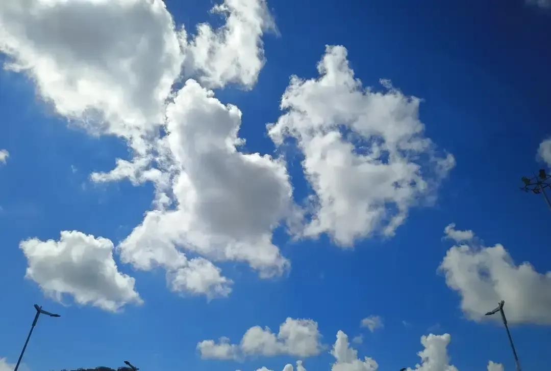 刷到一段《如果我以后当婆婆》的小短文，作者说将来只出钱出力，绝不插嘴，小两口想咋