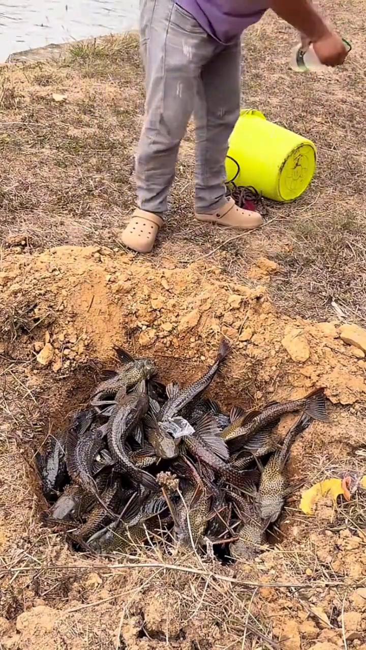 三号料酒腌制一下，点火。