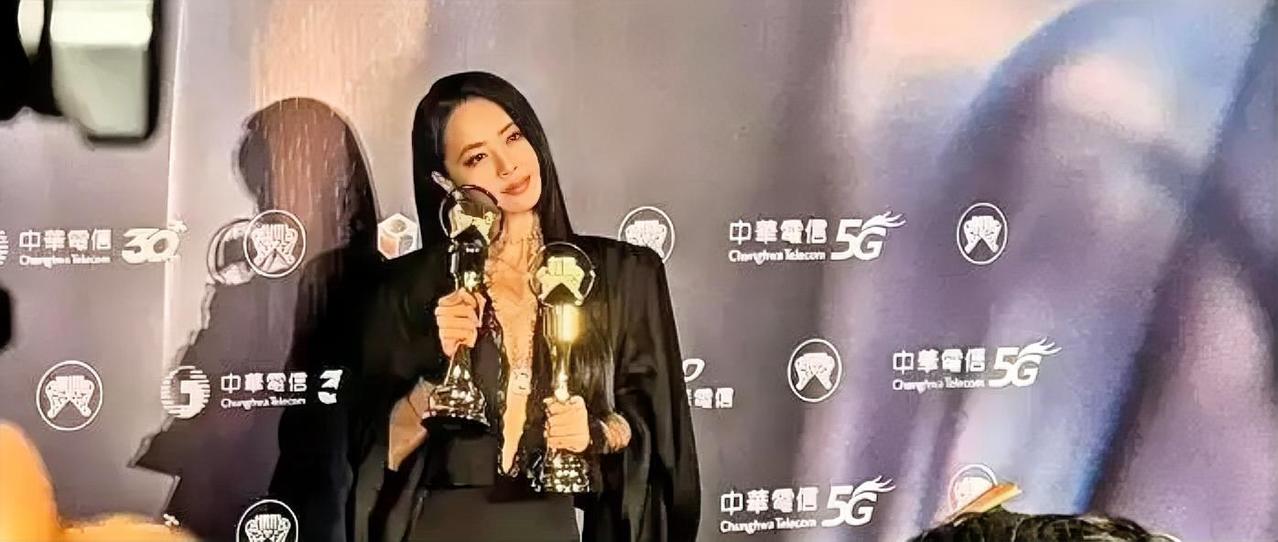 蔡依林拿了金曲歌后。弹幕刷的不是“恭喜”，是四个字：实至名归。我盯着这四个字看了
