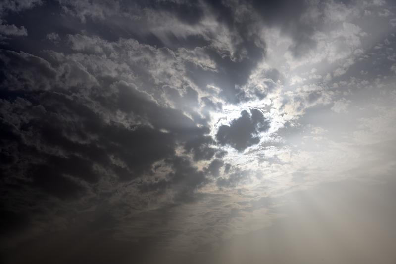 冬日生活打卡季 冬日生活打卡季
冬日真是个值得好好打卡记录的季节。就说初冬吧，公