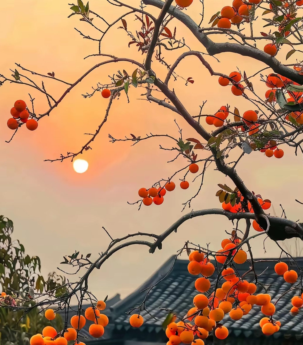 万市皆有运，祝大家柿柿如意！金价 $上证指数 sh000001$