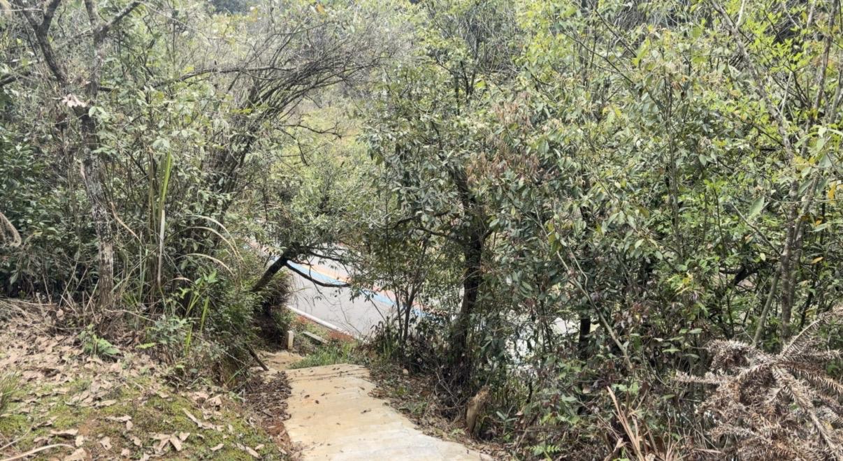 我教孩子有礼貌，不与人发生口角却成了护身符。有一次，儿子与村里一个40多岁单身汉