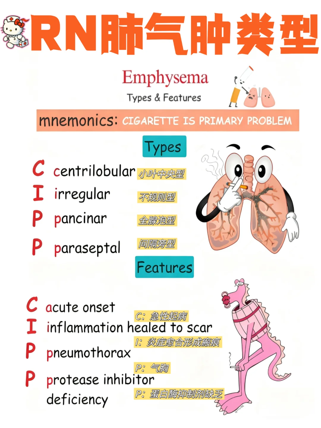 备考RN/肺气肿类型！！学！！内容