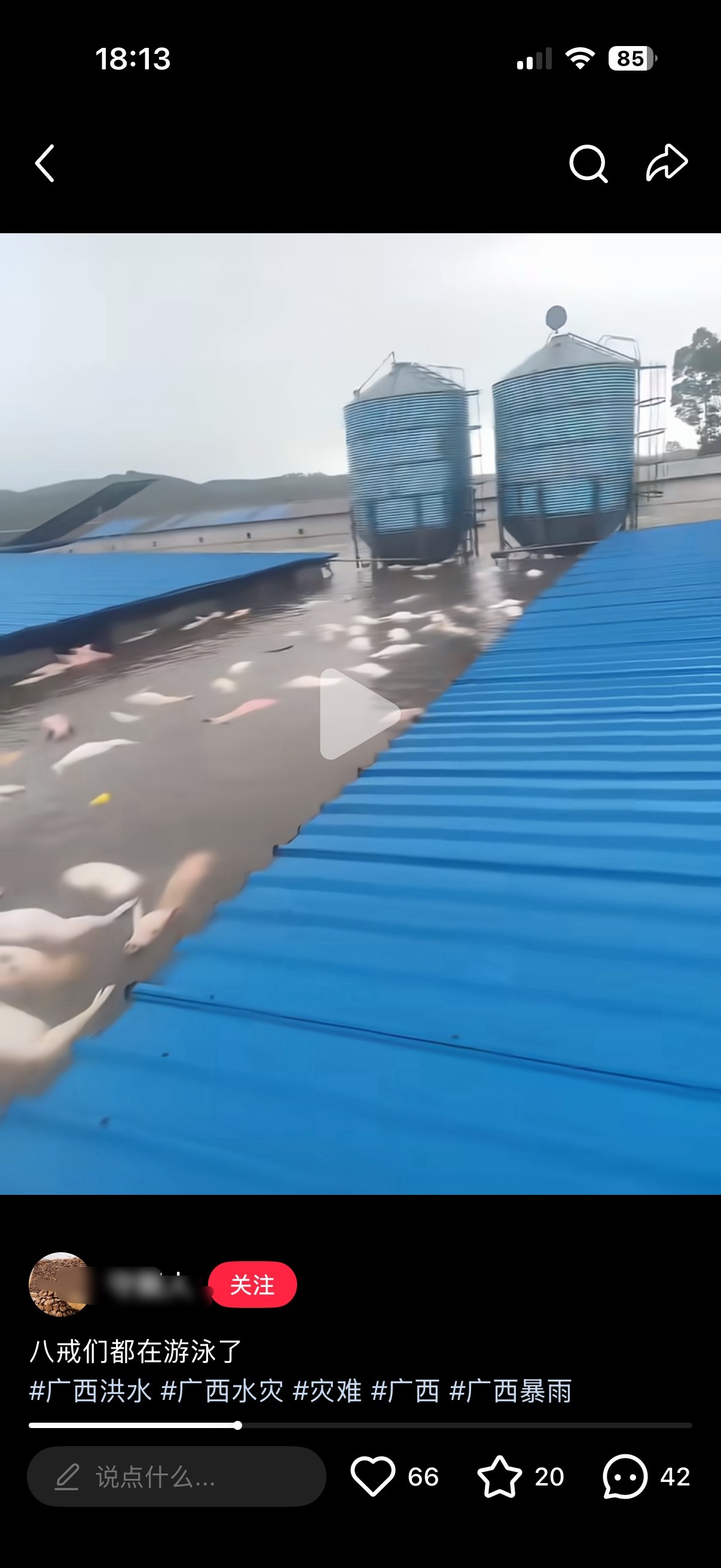 很烦这类配个欢快bgm的救助视频，猪无辜受难，出于本能到处逃难，想要活下去，这些
