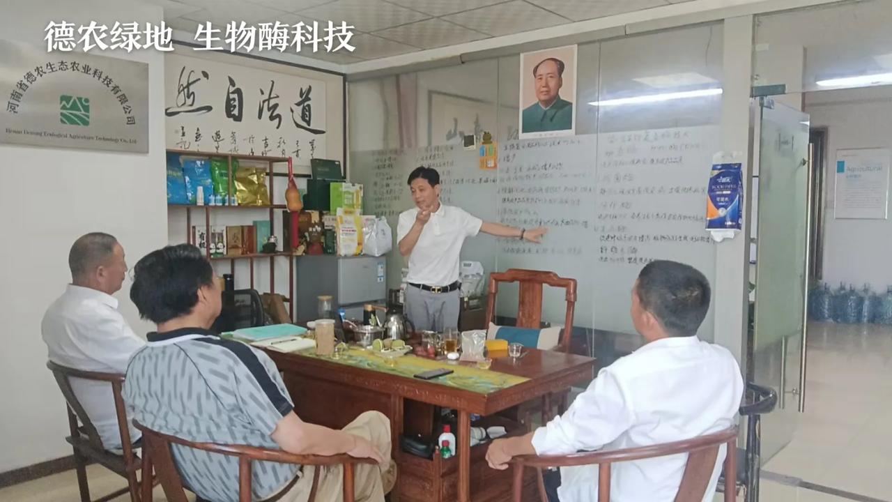 德农生物酶科技，高温闷棚是一种利用夏季强光照和高温杀灭土壤病原菌、虫卵及杂草的绿