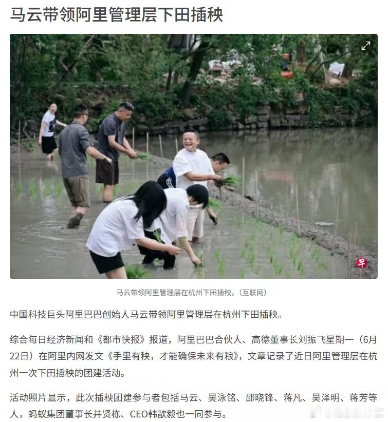 马云带领阿里公司高管下地插秧，搞什么名堂？马云做事历来有风向标称誉，细思极恐… 