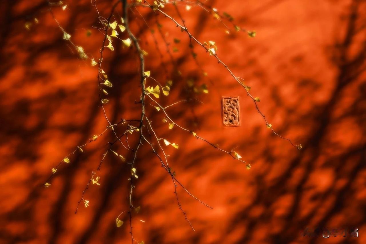 几年前，加入过一个佛学学习群。成员来自天南地北，学习热情很高涨。只要一不留神，群