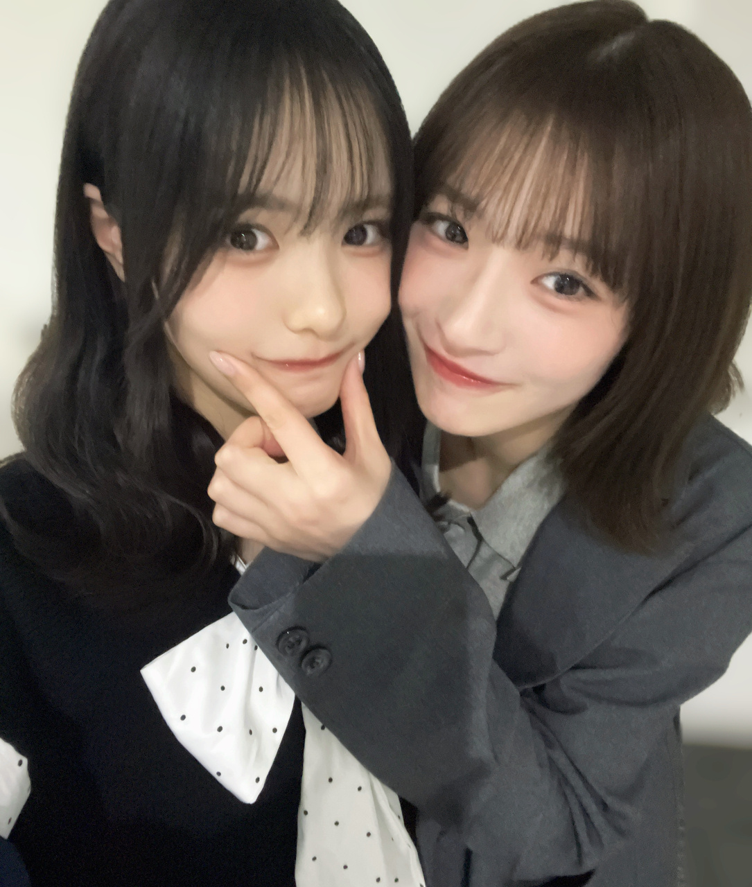 中川智尋「しかくにとそっくりな新入りが増えました🐾みんなしかくにしか興味がなく