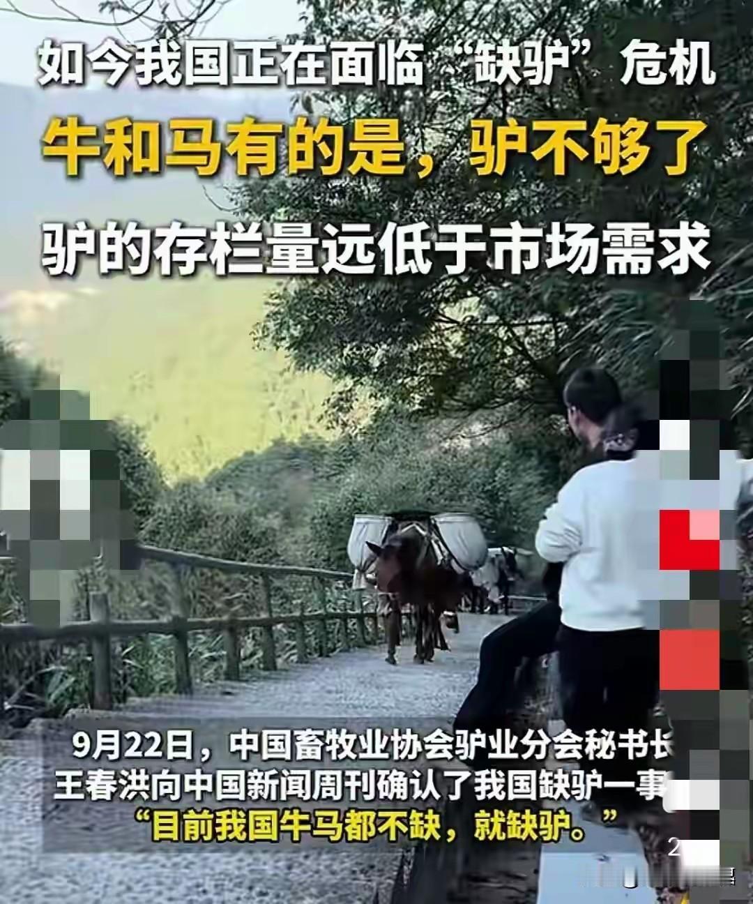 我们正面临缺驴危机，不缺牛马，但是很缺驴。驴的存栏量远低于市场需求。

网友：明