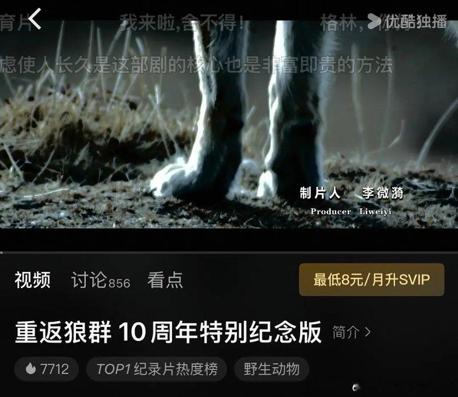 26年第一爆应该是这个纪录片重返狼群，抖解说破千万 