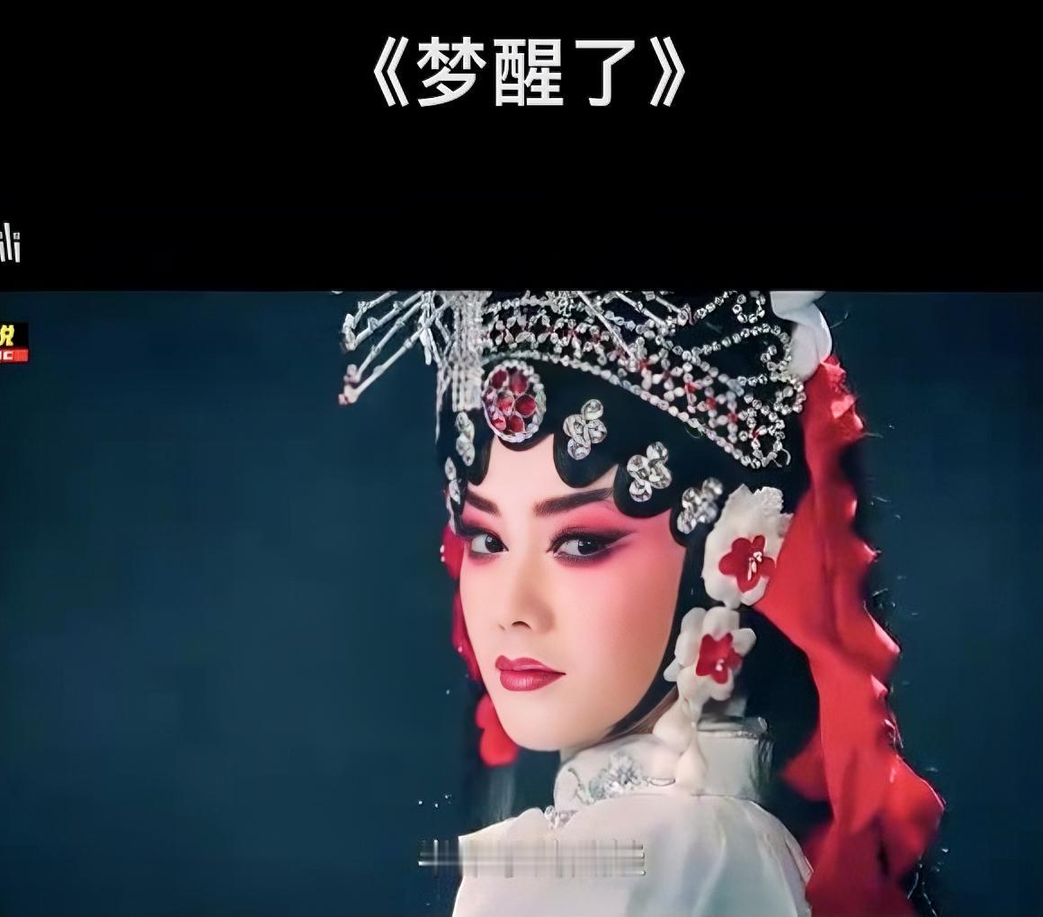 《主角》片尾曲《梦醒了》竟是张嘉译妻子写的，孙浩来唱，太打动人心了。

《梦醒了
