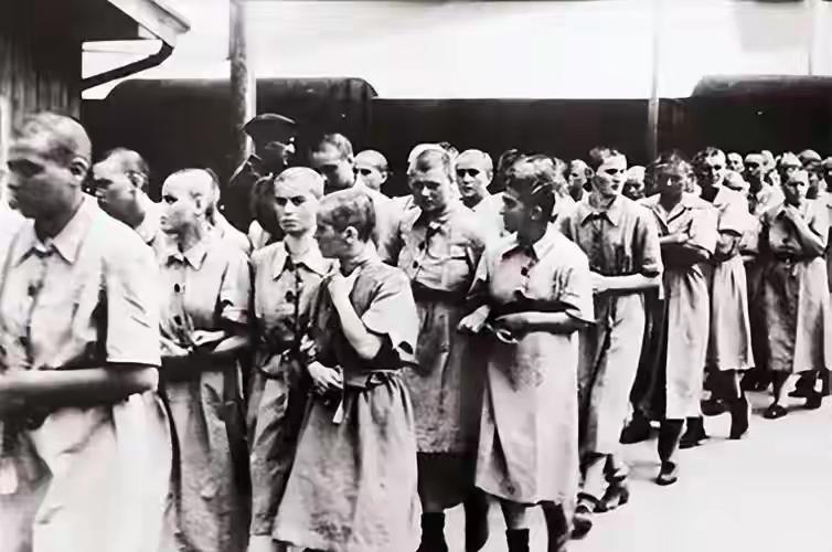 二战犹太女人有多惨？德军强迫她们“集体洗澡”，集中营肆意折磨

1942年3月，