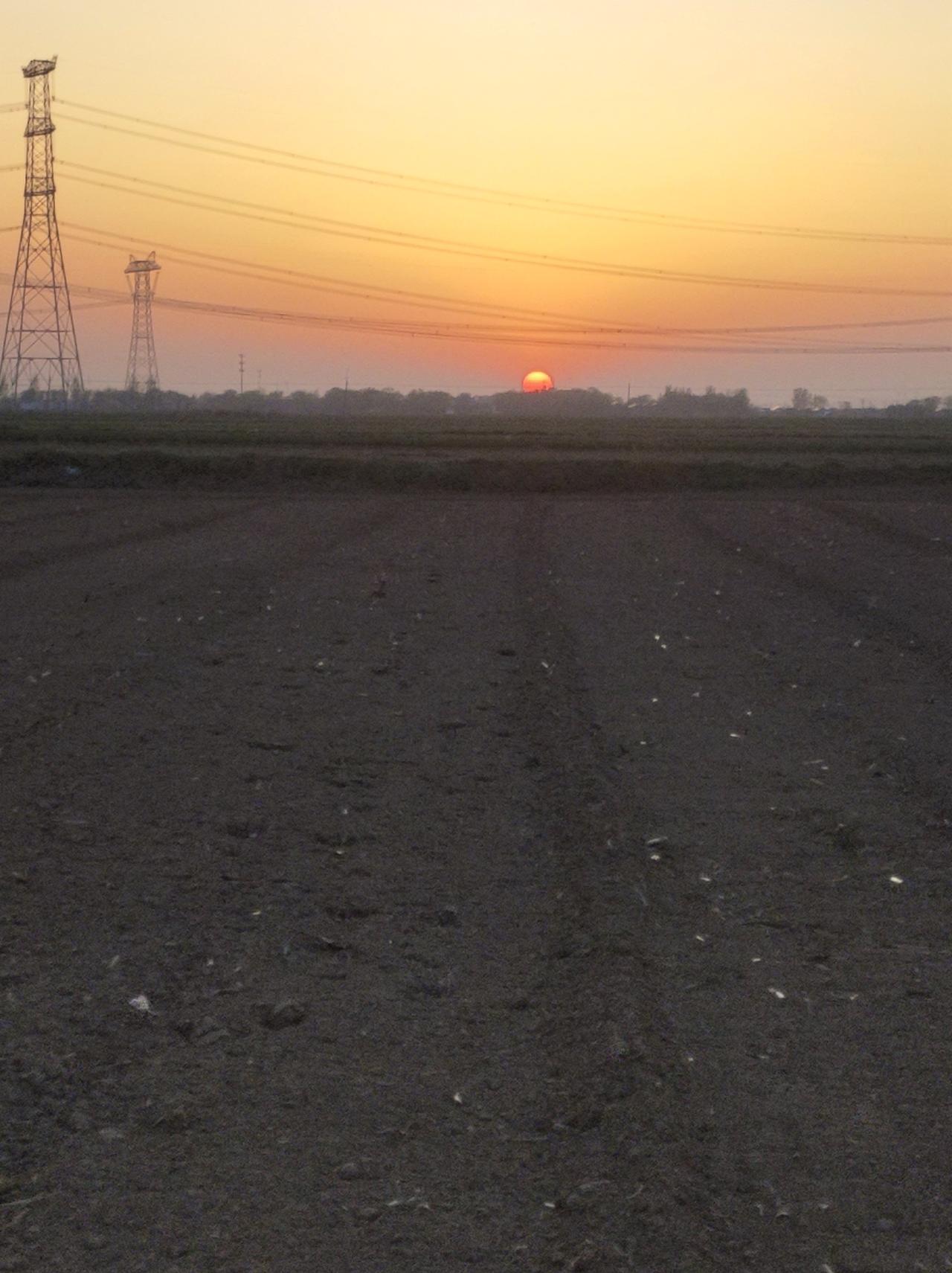 分享一下你随手拍的照片 分享一下你随手拍的照片4月10日，我和老伴去给小麦打药，