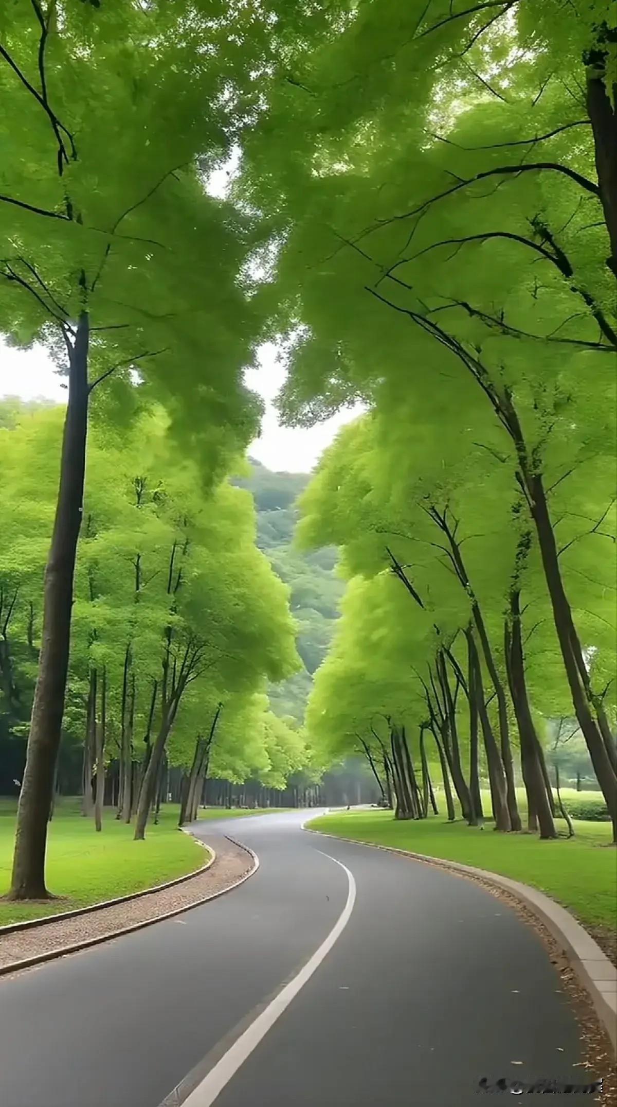 秋天里醉人的美景