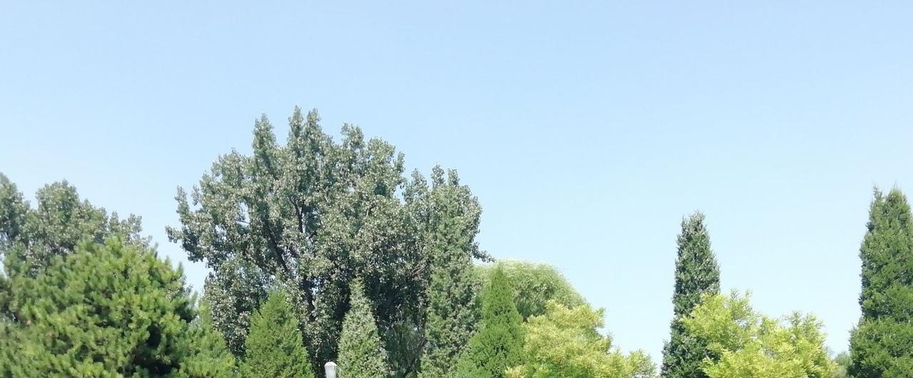 消息人士透露，美国总统特朗普是在盟友和波斯湾国家私下警告，轰炸伊朗发电厂将引发灾