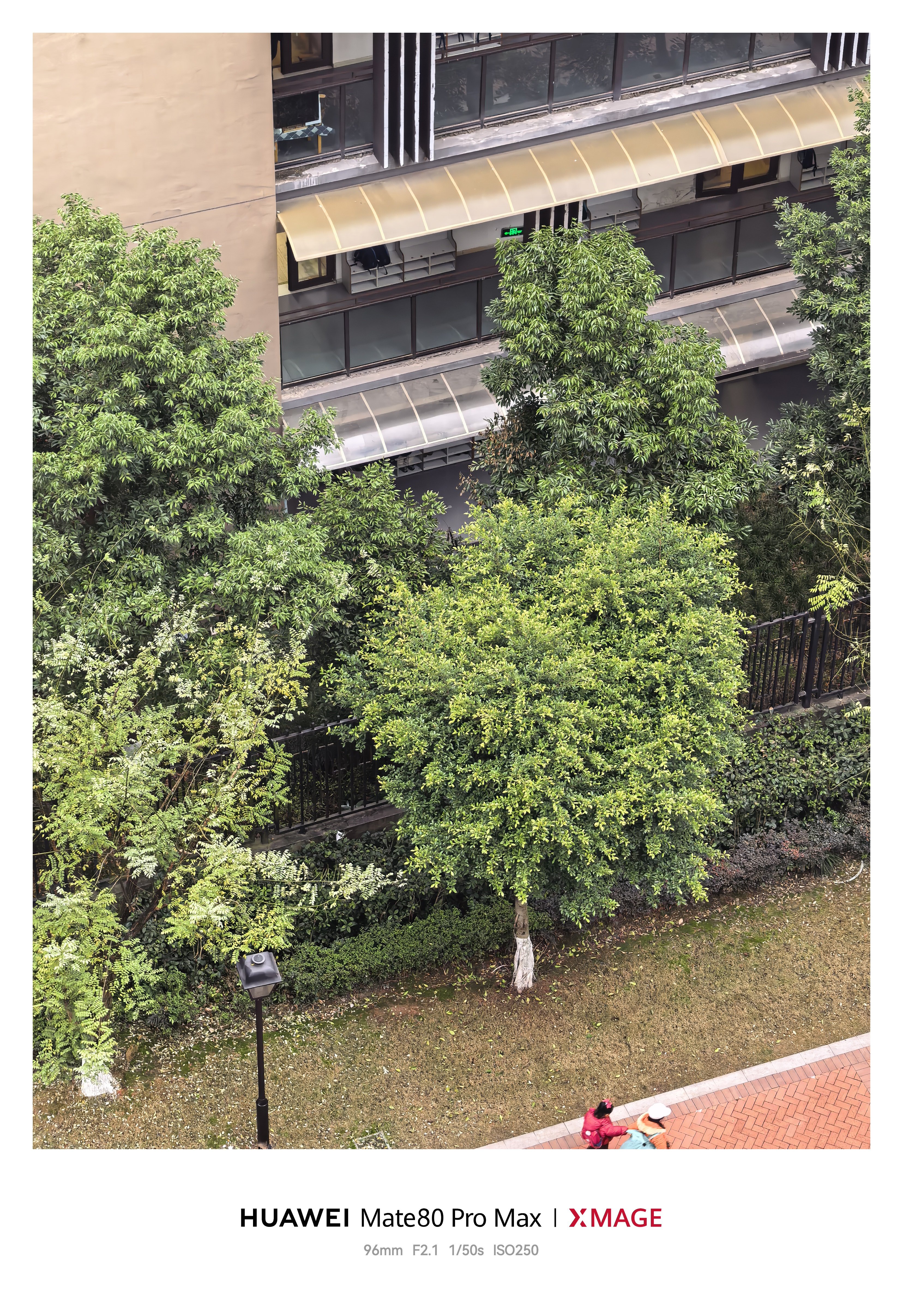 雾都奶爸 早上我还说晚点看看儿子班上同学咳嗽多不多再决定送去不，结果这个点了才去