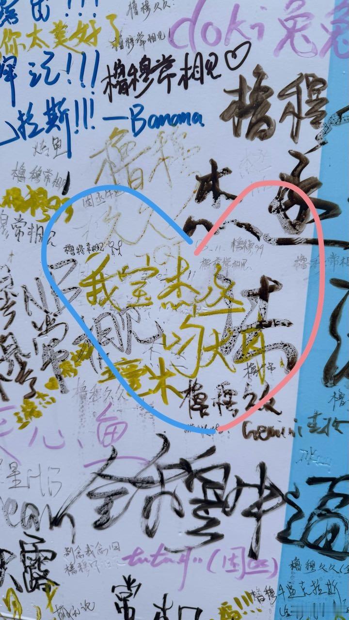 我妈妈  专栏 · 我保证你是天使