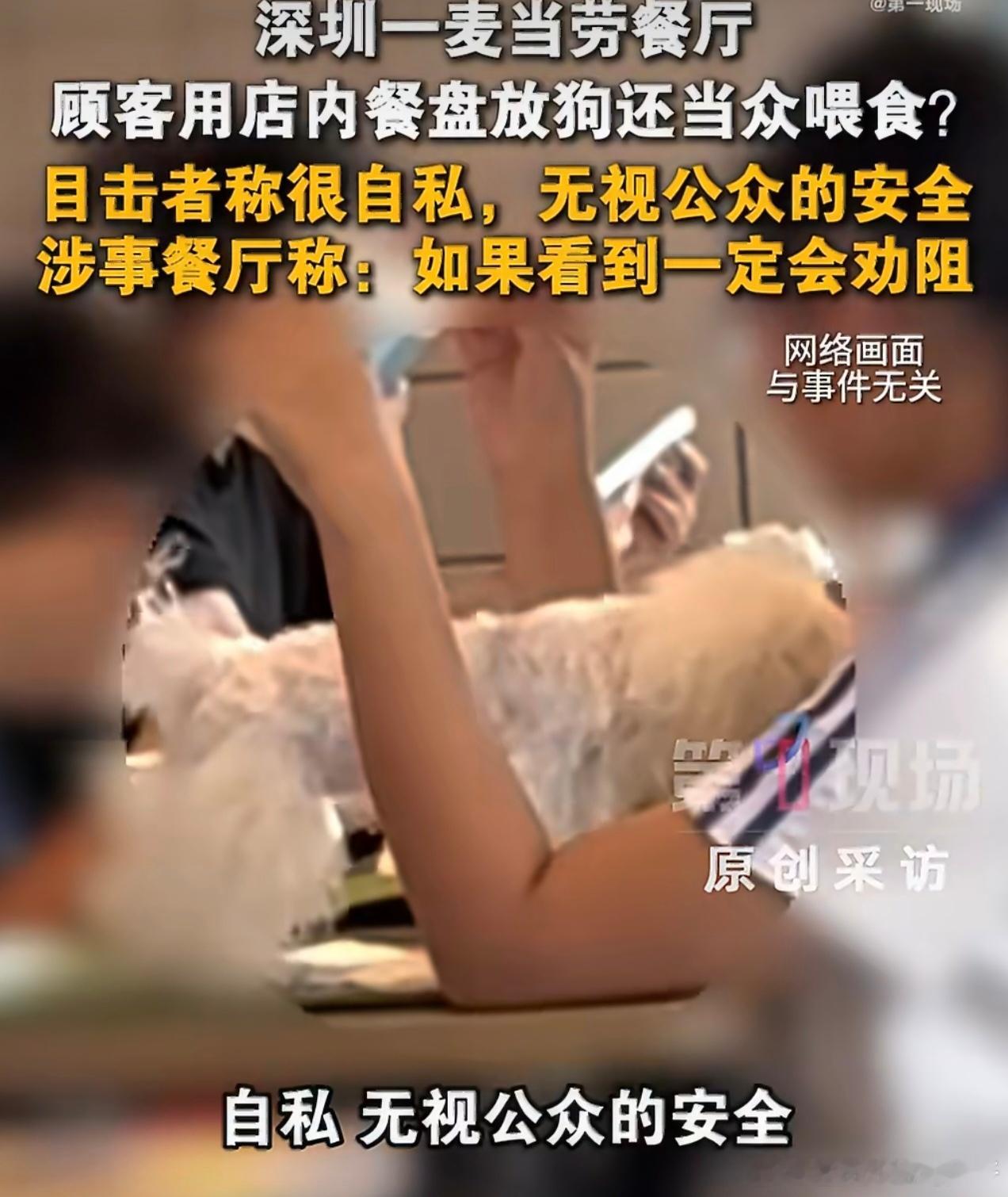 母女在麦当劳把狗放餐盘里当众喂食喜欢宠物完全能理解，但总不能把自家的偏爱凌驾在公