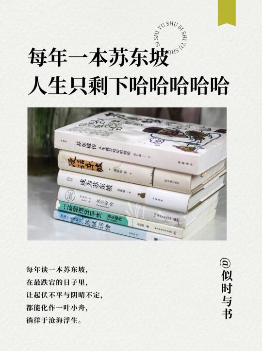 每年一本苏东坡，人生只剩哈哈哈