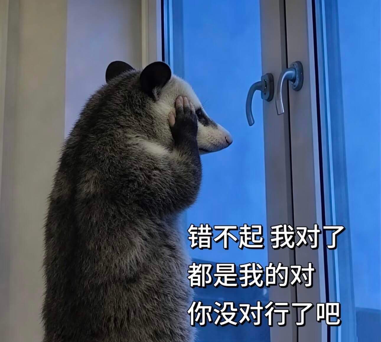 这工位太妙了，一坐下我就燥 