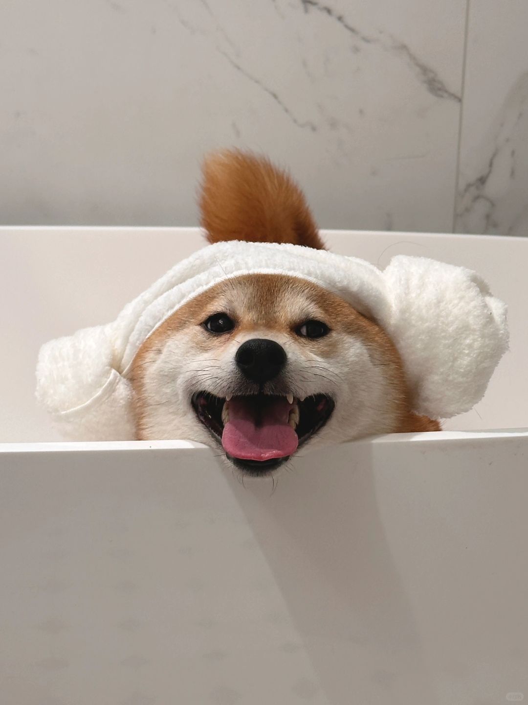 美人出浴🛀