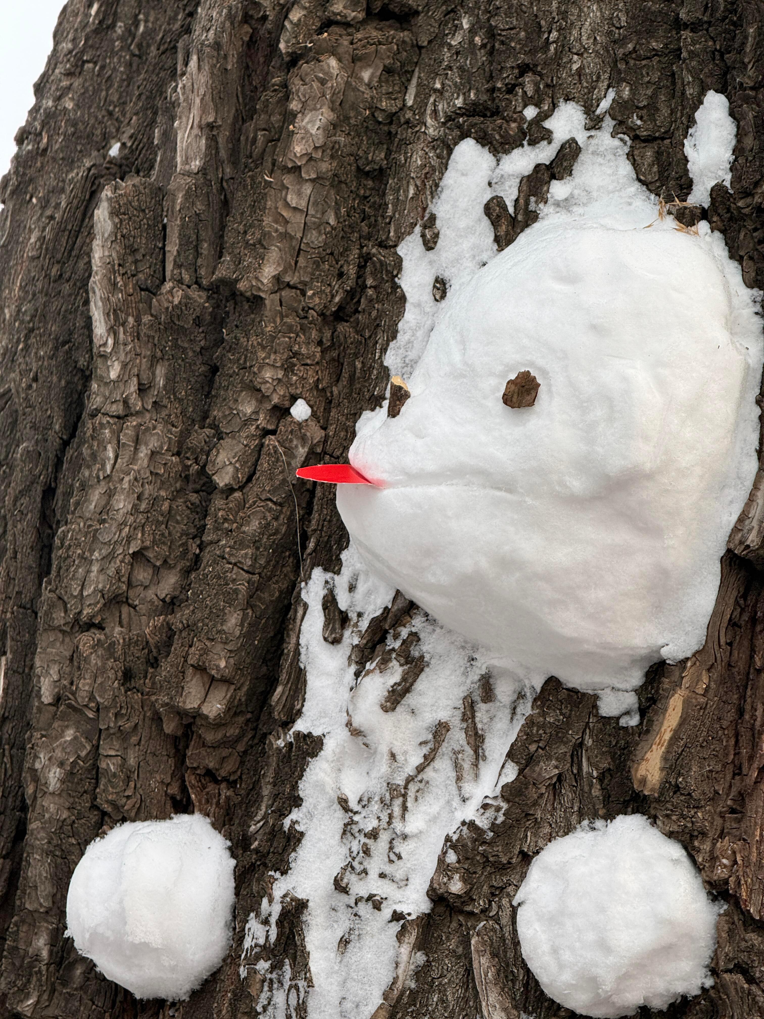颐和园谁这么有创造力颐和园谁这么有创造力 ，笑鼠我了 太可爱了 