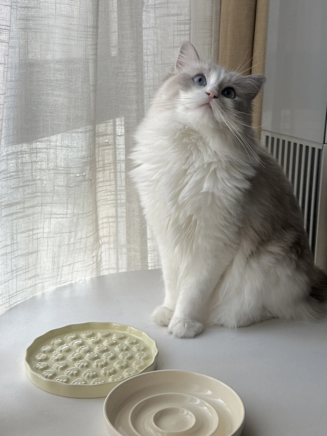 她对慢食碗还挺满意的