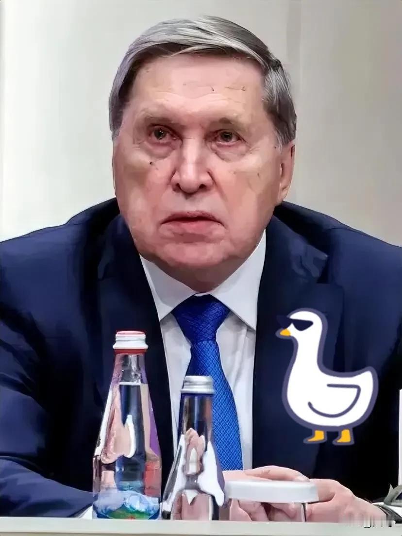 又双叒叕是快讯！12月15日，俄罗斯总统助理尤里·乌沙科夫表示，莫斯科没有看到欧