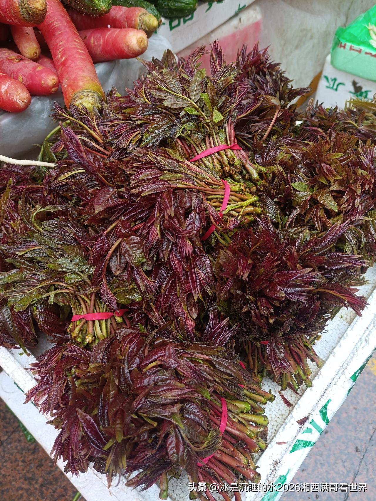 春天湘西山区大自然田间坡头的野菜，你们能认识几个？
椿木巅、冬笋、蕨菜、折耳根、