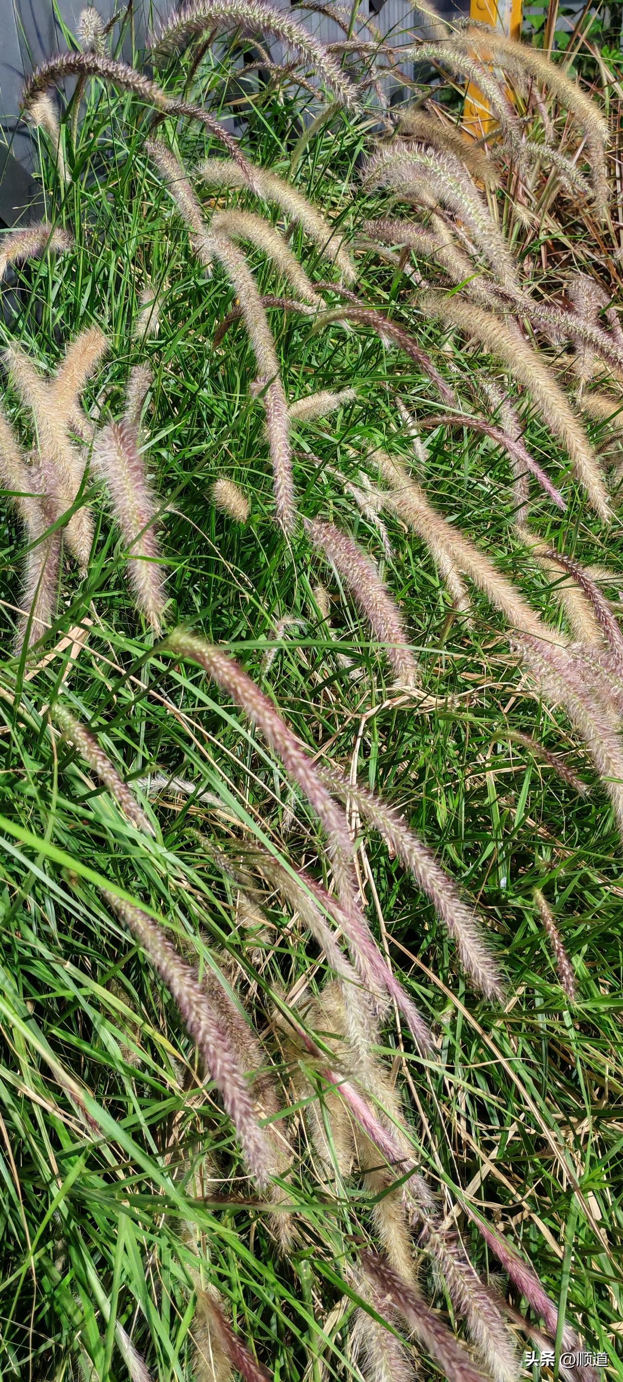 56岁大姐由于老公赌博输了回来就打她，二十年前就离家出走了。
但三个孩子她管，也