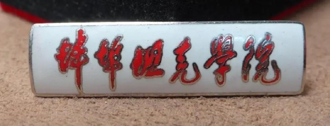 《抢军帽的故事》
        那是一顶草绿色的军帽，帽檐挺括，正中央缀着一颗