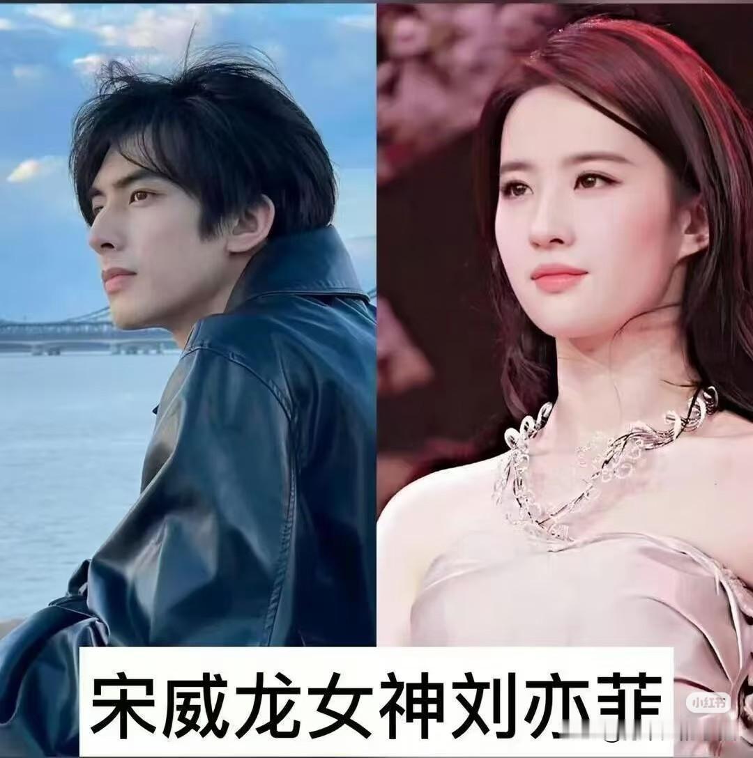 你知道吗，再耀眼的男明星，心里也藏着一位白月光女神。
宋威龙的女神是刘亦菲；王嘉