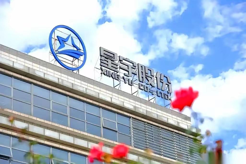 据凤凰网报道，星宇公司2019年在塞尔维亚开设工厂，至少雇佣了当地人1000人，