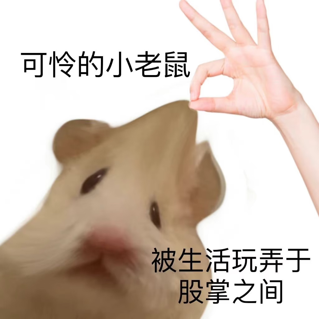 经过一上午的研究，我完全没办法自己做攻略去旅游，越做越暴躁。讨厌笨重的行李，讨厌