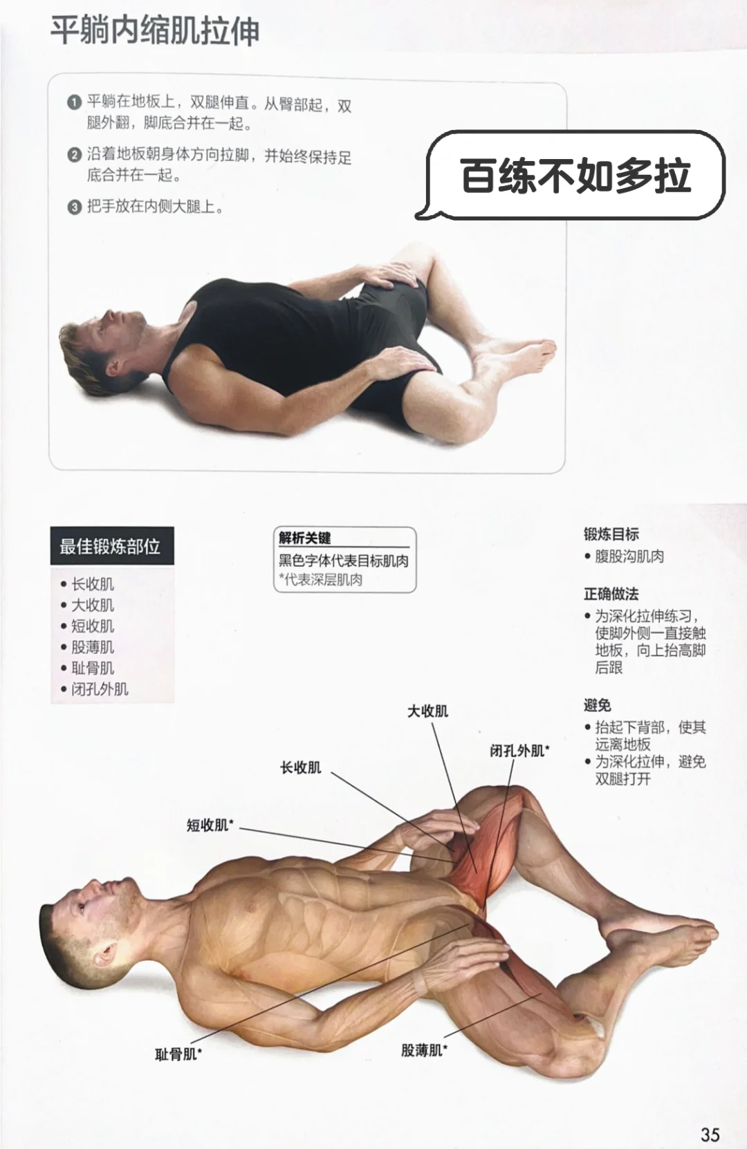 大腿内侧的拉伸