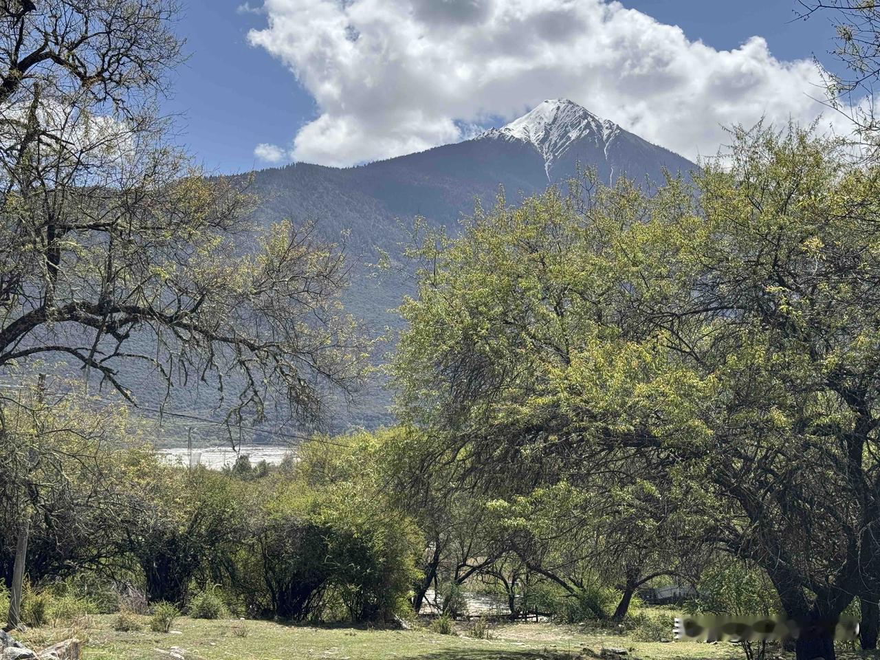 进藏之旅第六天，从墨脱到林芝索松村，全程445公里，依次打卡了波密桃花沟、鲁朗小