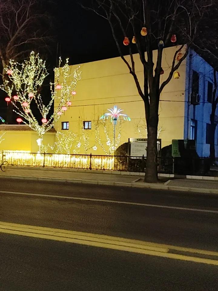 你认为年味越来越淡的原因是什么生活节奏越来越快，人们娱乐方式也越多，对年期盼也越