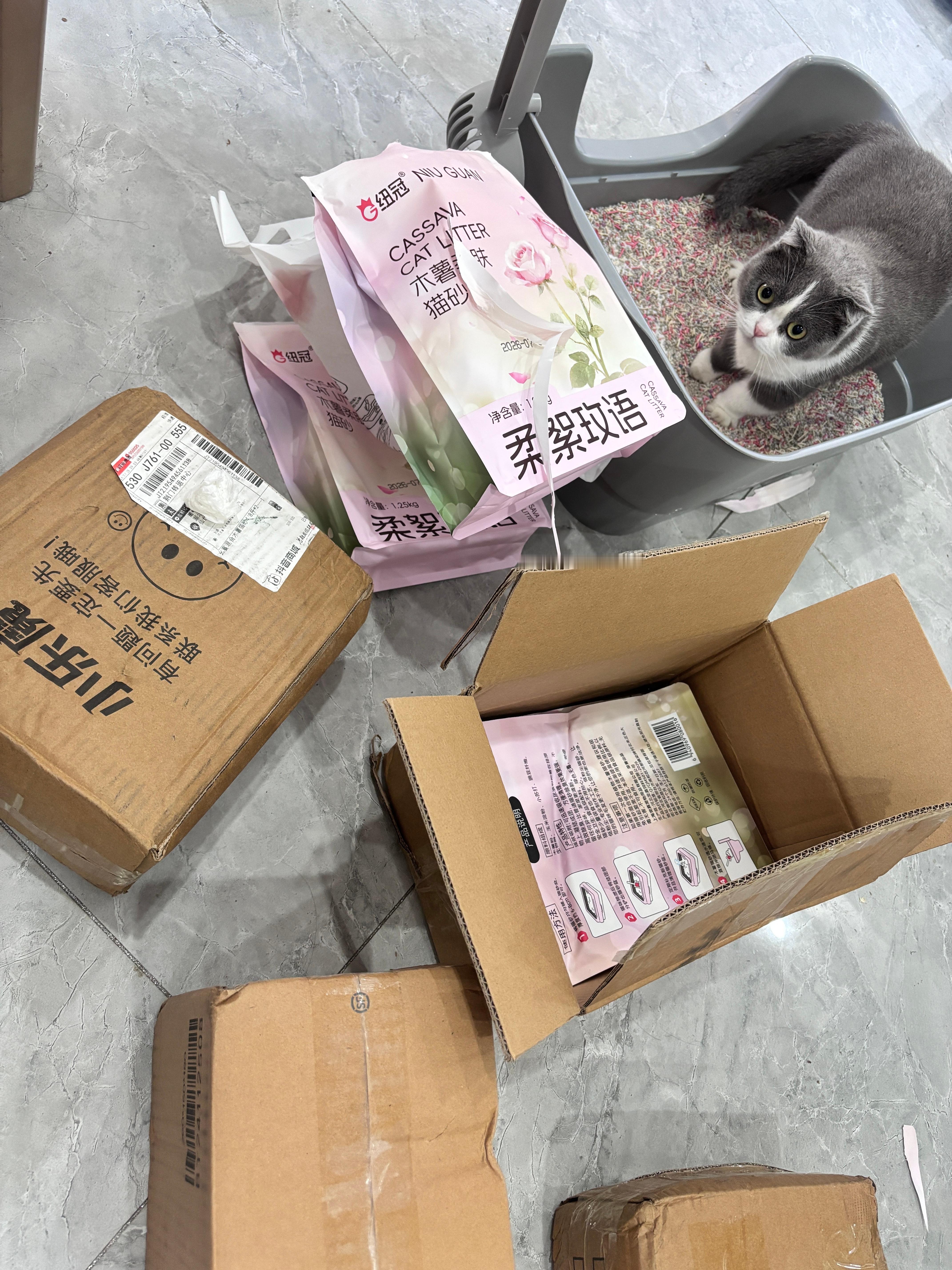 10 斤猫砂撑死才用一个月，屎尿多的咪
