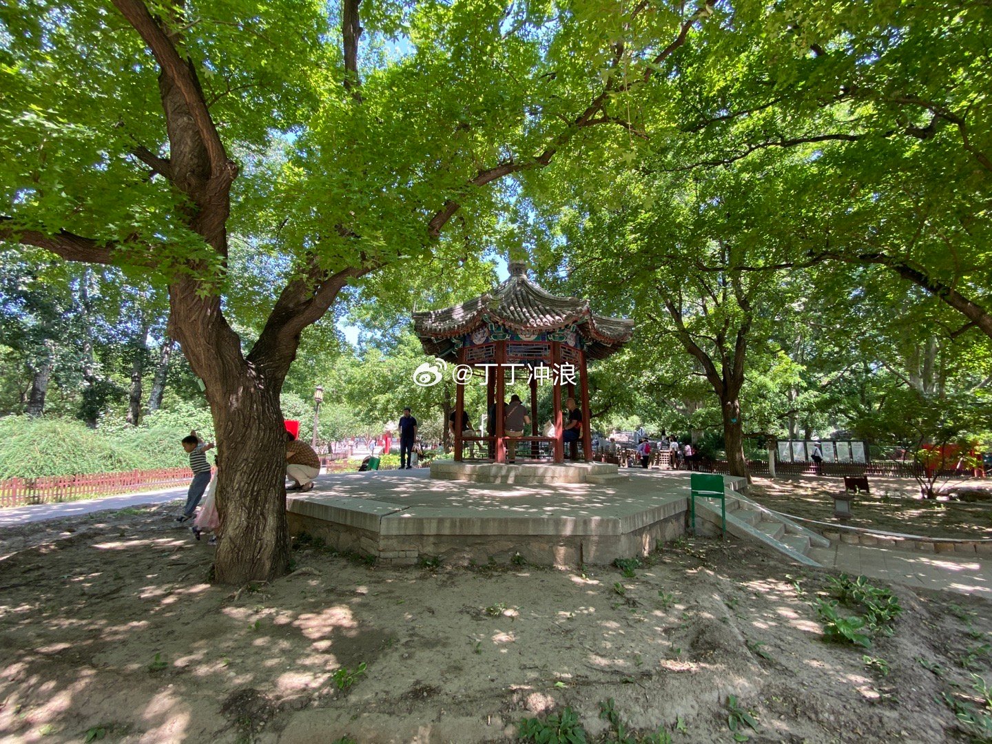 夏天的北京地坛公园绿树成荫清爽宜人  摄影​​​
