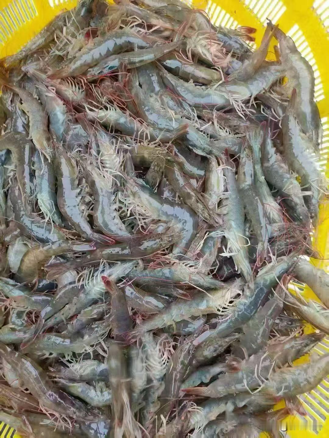 别再内耗自己了：人这一辈子，讨好自己比什么都重要
 
不知道你有没有过这样的时刻