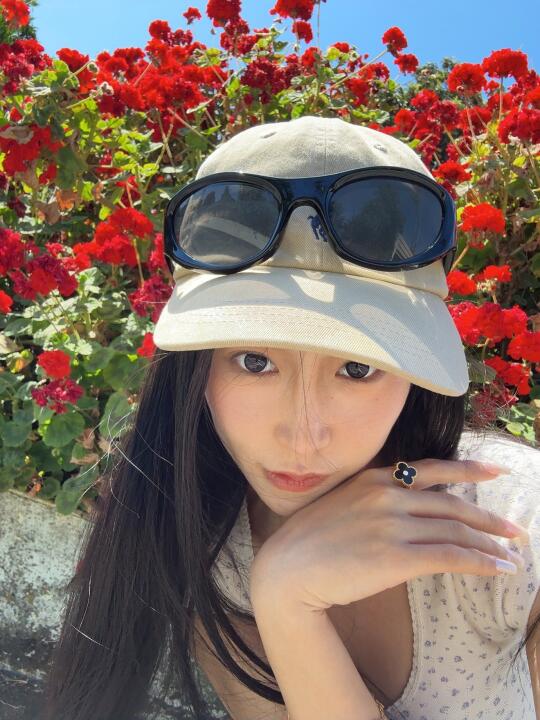 湾区🌹随处可见的花