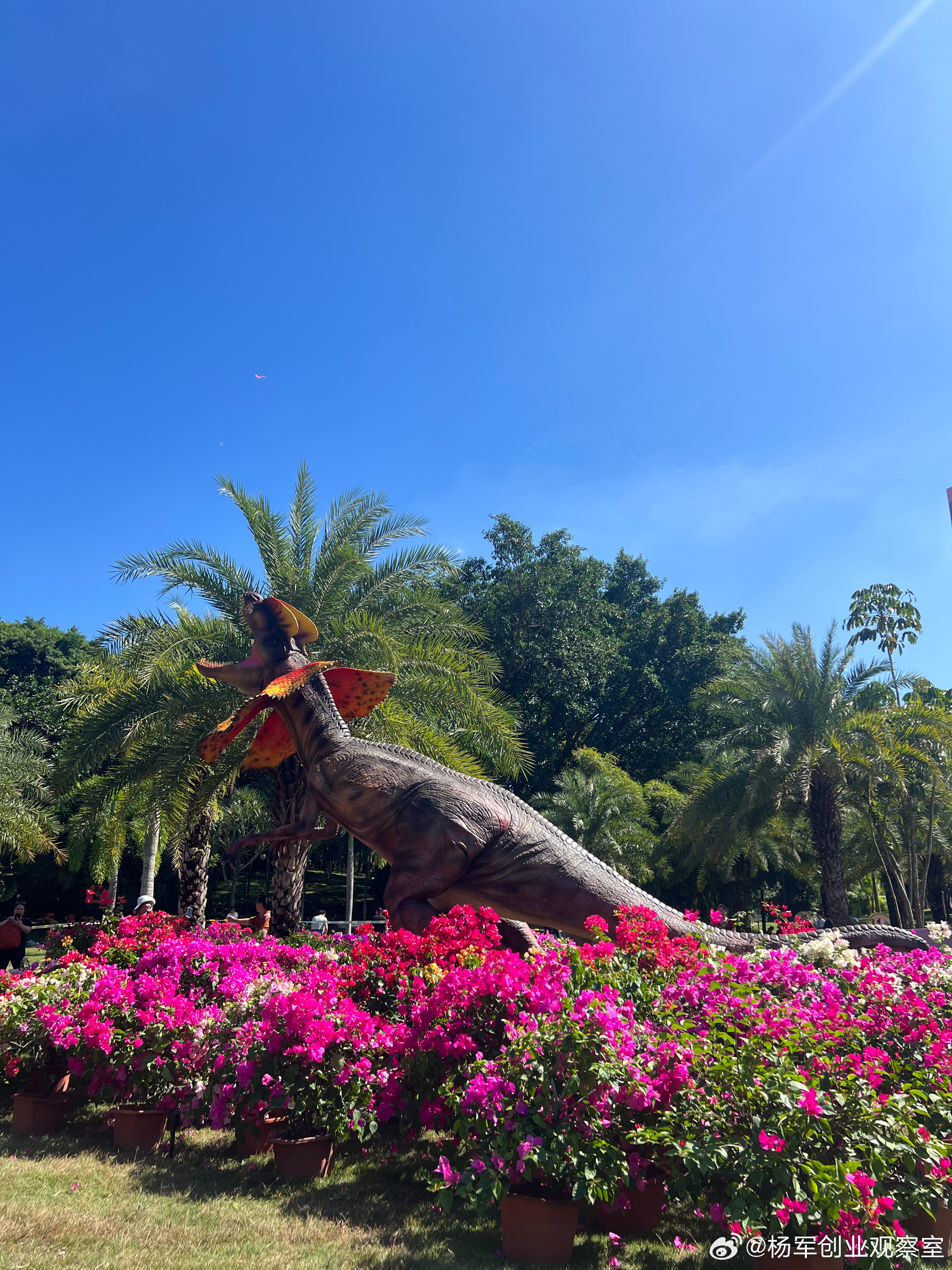 我们公司没什么优势，不值得做资本运作吧？其实不同经营状态的企业战略定位不同，都可