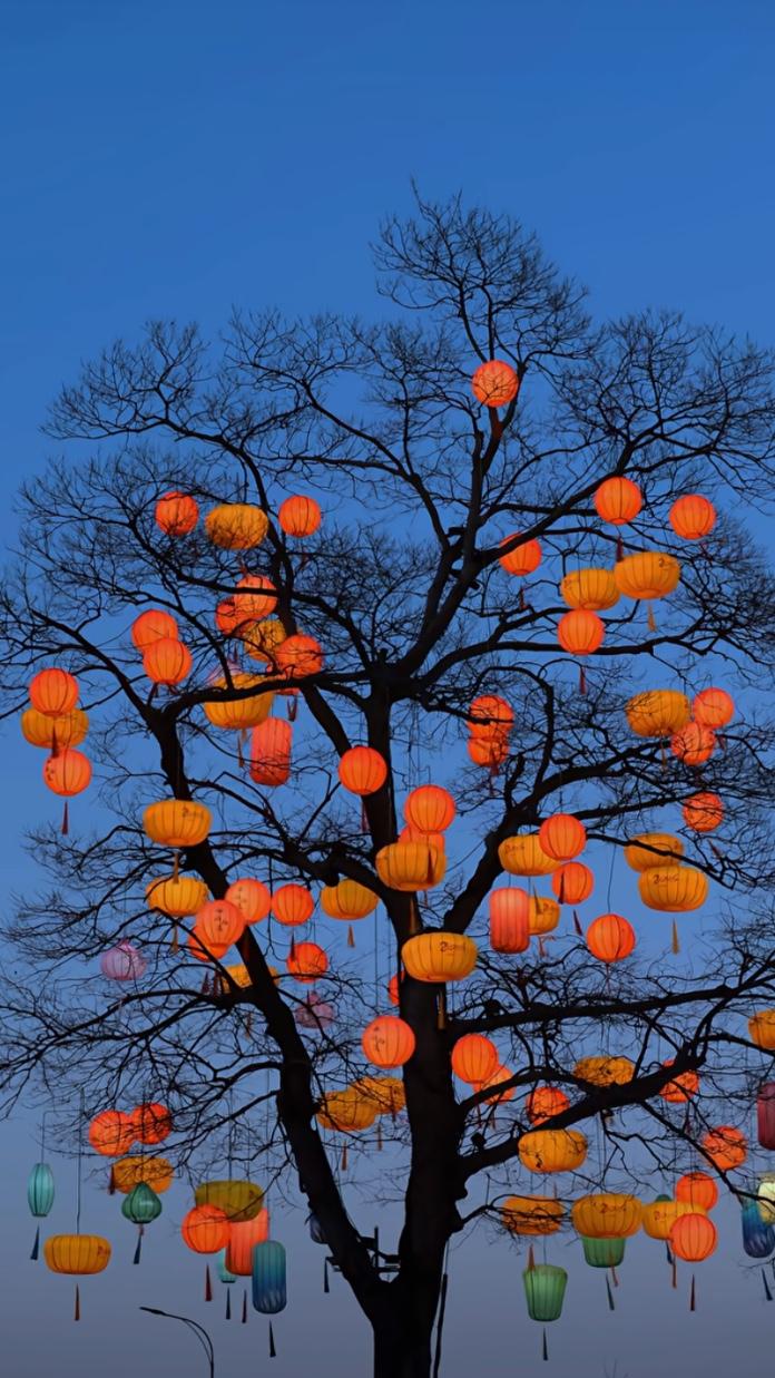 我彻底想通了，今年过年不再做以下事情：
​第一，今年不准备太多年货，往年，瓜子，