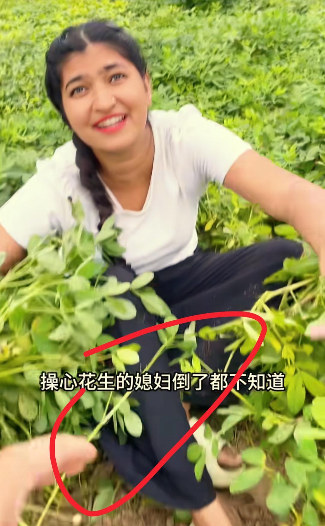 我预料到了王佳音会干农活
也预料到了会说河南话
万万没想到摔了先吐槽老公惦记花生